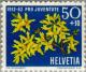 Colnect-140-201-Forsythia-Forsythia-europaea-v-Oleaceae.jpg