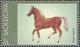 Colnect-191-813-Arabian-Horse-Equus-ferus-caballus.jpg