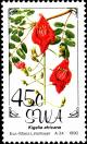 Colnect-5253-570-Flowers--Kigelia-africana.jpg