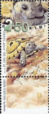 Colnect-2639-372-Greek-Tortoise-Testudo-hermanni.jpg