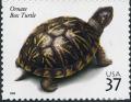 Colnect-202-173-Ornate-Box-Turtle-Terrapene-ornata-ornata.jpg