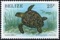 Colnect-2999-417-Hawksbill-Turtle-Eretmochelys-imbricata.jpg