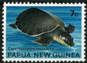 Colnect-1399-432-Pig-nosed-Turtle-Carettochelys-insculpta.jpg