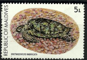 Colnect-2076-437-Hawksbill-Turtle-Eretmochelys-imbricata.jpg