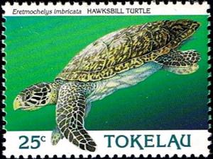Colnect-4596-365-Hawksbill-Turtle-Eretmochelys-imbricata.jpg