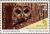 Colnect-4373-712-Northern-spotted-owl.jpg