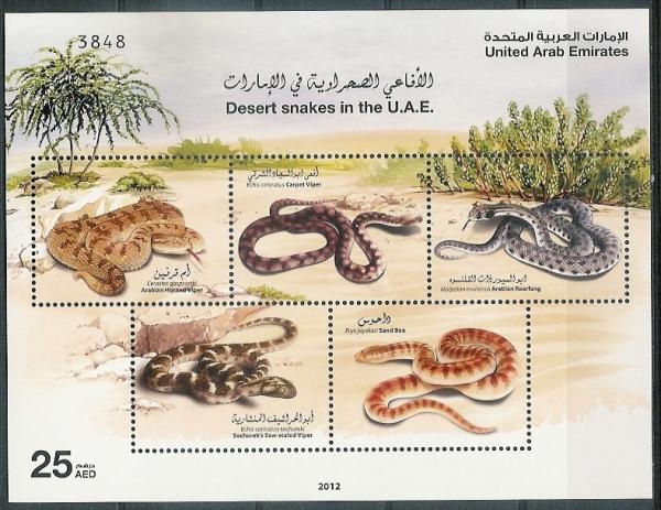 Colnect-1558-803-Desert-Snakes-in-the-UAE.jpg