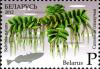 2012._Stamp_of_Belarus_13-2012-04-m2.jpg