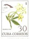 Colnect-1790-586-Brunfelsia-nitida.jpg