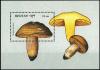 Colnect-2930-766-Russula-olivacea.jpg