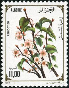 Colnect-722-321-Prunus-armeniaca.jpg