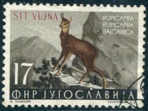 Colnect-4300-204-Balkan-Chamois-Rupicapra-rupicapra-balcanica-.jpg