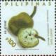 Colnect-3017-932-Popular-Fruits-of-the-Philippines.jpg