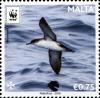 Colnect-6228-644-Manx-Shearwater-Puffinus-puffinus.jpg