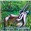 Colnect-1492-998-Beisa-Oryx-Oryx-gazella-beisa.jpg