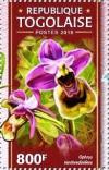 Colnect-4899-519-Ophrys-tenthredinifera.jpg