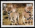 Colnect-4493-645-Beisa-Oryx-Oryx-gazella-beisa.jpg