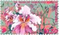 Colnect-5040-020-125th-Anniversary-of-Orchid-Vanda-Miss-Joaquim.jpg