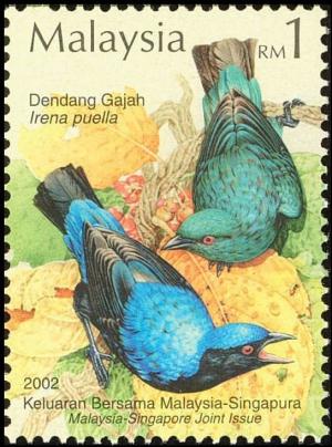 Colnect-4159-672-Asian-Fairy-bluebird-Irena-puella.jpg