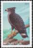 Colnect-1631-918-Crowned-Solitary-Eagle-Buteogallus-coronatus.jpg