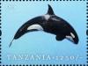 Colnect-1696-284-Killer-Whale-Orcinus-orca.jpg