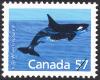 Colnect-2920-146-Killer-Whale-Orcinus-orca.jpg