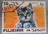 Colnect-3164-872-European-Silver-Tabby-Felis-silvestris-catus.jpg