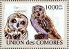 Colnect-3669-402-Madagascar-Red-Owl-Tyto-soumagnei.jpg
