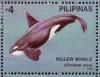 Colnect-4946-467-Killer-Whale-Orcinus-orca.jpg