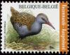 Colnect-5719-072-Water-rail---R-acirc-le-d--eau---Waterral.jpg