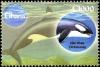 Colnect-5993-634-Killer-Whale-Orcinus-orca.jpg