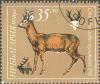 Colnect-629-765-Roe-Deer-Capreolus-capreolus.jpg