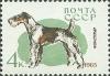 Colnect-885-184-Fox-Terrier-Canis-lupus-familiaris.jpg