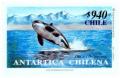 Colnect-578-481-Killer-Whale-Orcinus-orca.jpg