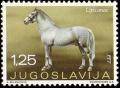 Colnect-700-469-Lipicaner-Equus-ferus-caballus.jpg