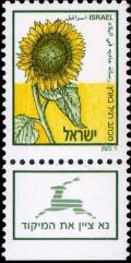 Colnect-795-975-Sunflower---Helianthus-annuus-.jpg