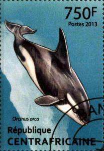 Colnect-3850-724-Killer-Whale-Orcinus-orca.jpg