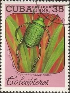 Colnect-1455-886-Shining-Leaf-Chafer-Beetle-Chrysophora-chrysochlora.jpg