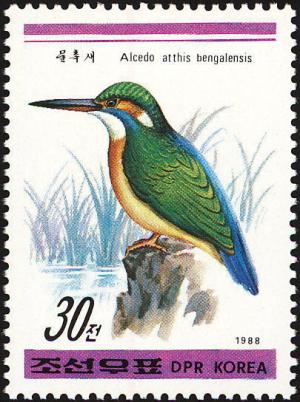 Colnect-1614-798-Common-Kingfisher-Alcedo-atthis-ssp-bengalensis.jpg