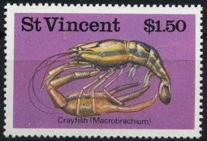 Colnect-1746-592-Freshwater-Shrimp-Macrobrachium-sp.jpg