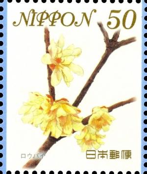 Colnect-3049-463-Japanese-Allspice-or-Wintersweet-Chimonanthus-praecox.jpg