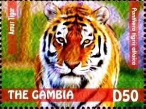 Colnect-3611-898-Amur-Tiger-Panthera-tigris-altaica.jpg