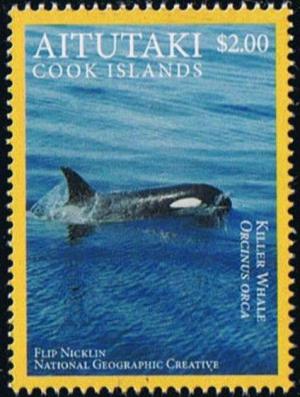 Colnect-3851-192-Killer-Whale-Orcinus-orca.jpg
