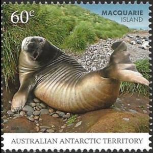 Colnect-3872-070-Subantarctic-Fur-Seal-Arctocephalus-tropicalis.jpg