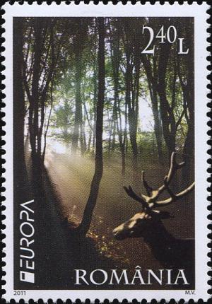 Colnect-4286-689-Red-Deer-Cervus-elaphus-Forest.jpg