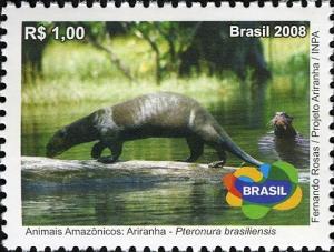 Colnect-464-099-Giant-Otter-Pteronura-brasiliensis.jpg