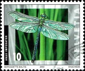 Colnect-5319-748-Blue-Emperor-Dragonfly-Anax-imperator.jpg