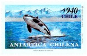 Colnect-578-481-Killer-Whale-Orcinus-orca.jpg
