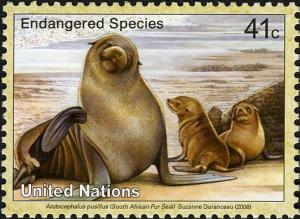 Colnect-611-524-South-African-Fur-Seal-Arctocephalus-pusillus-.jpg