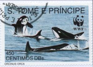 Colnect-938-253-Killer-Whale-Orcinus-orca.jpg